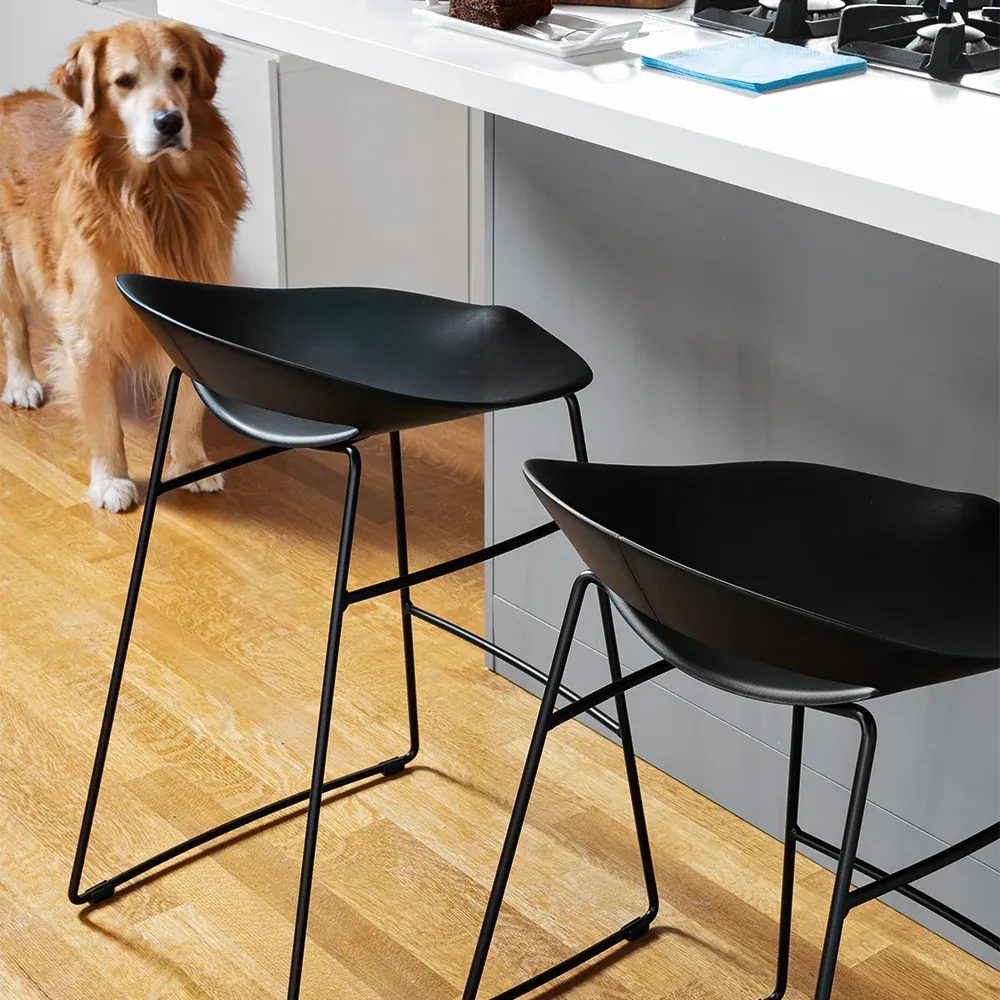 Sgabelli Cosmopolitan Connubia neri a slitta accanto a un bancone bianco, con un cane sullo sfondo