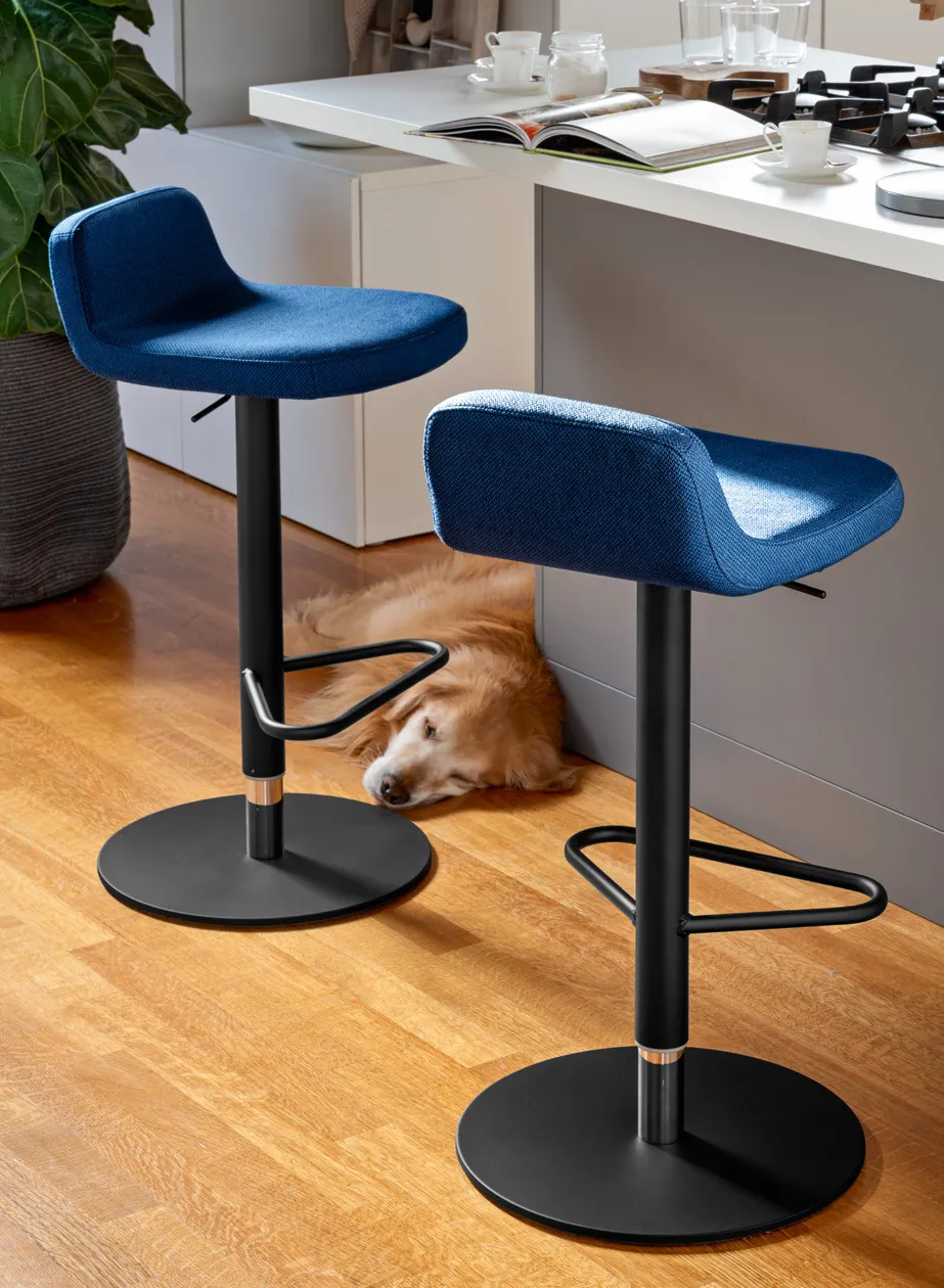 Due sgabelli Riley Connubia a gas in tessuto blu con base nera, accanto a un cane disteso sul parquet