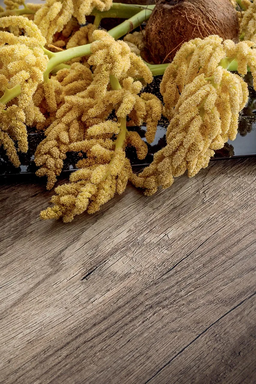 Venature del piano effetto rovere primitivo del tavolo Mario Super La Primavera