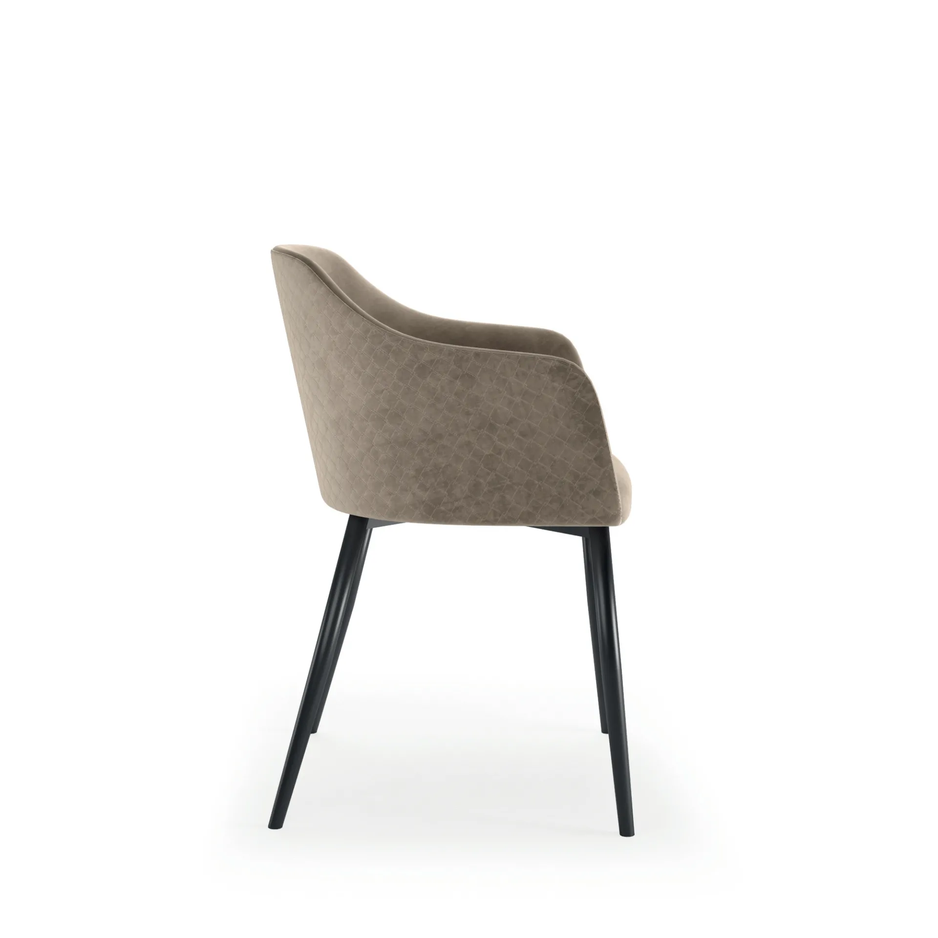 Profilo della sedia Fifties Scavolini tortora con gambe coniche
