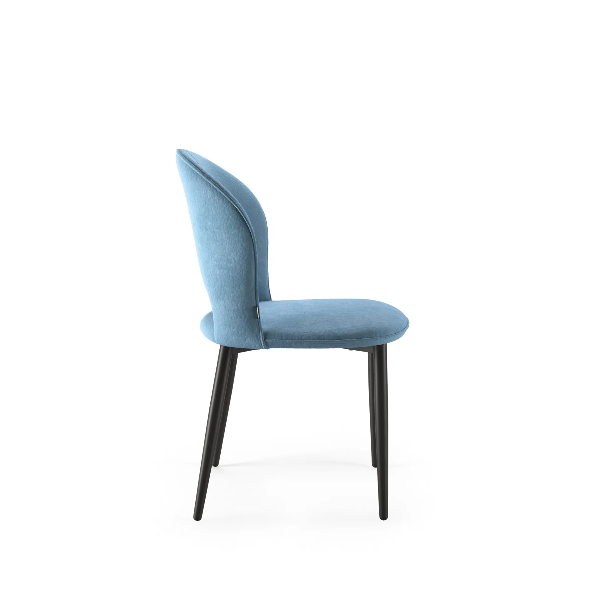 Profilo della sedia Love Scavolini azzurra