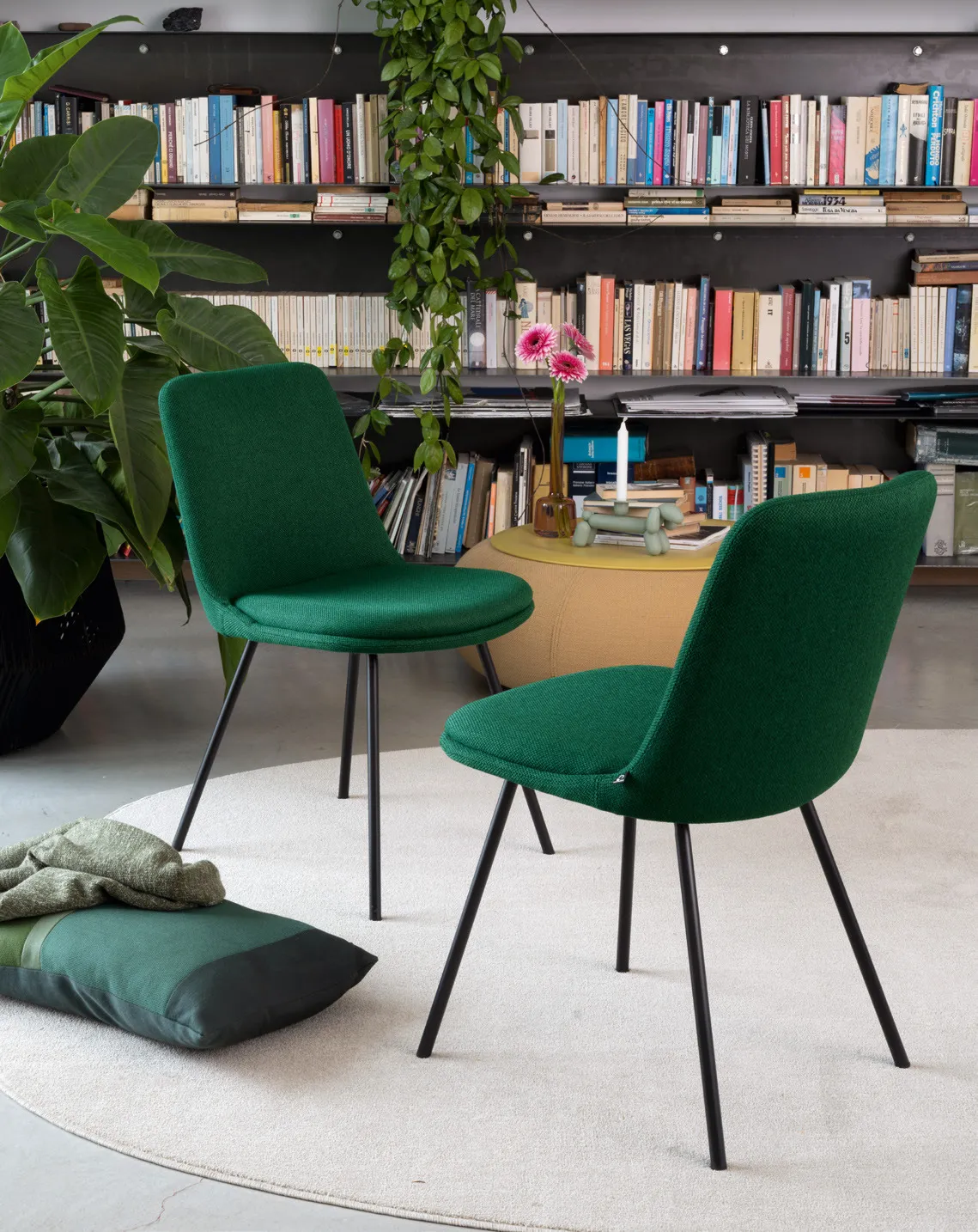 Sedie Hedra Connubia in tessuto verde bosco con gambe nere davanti a una libreria a parete