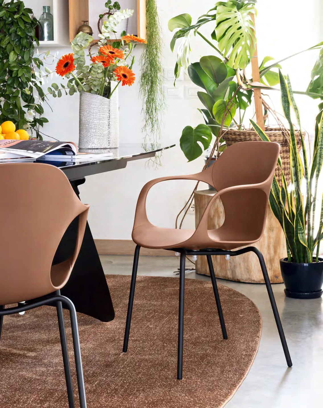 Sedie Ops! Connubia con braccioli, scocca terracotta e gambe nere, accostate a un tavolo scuro