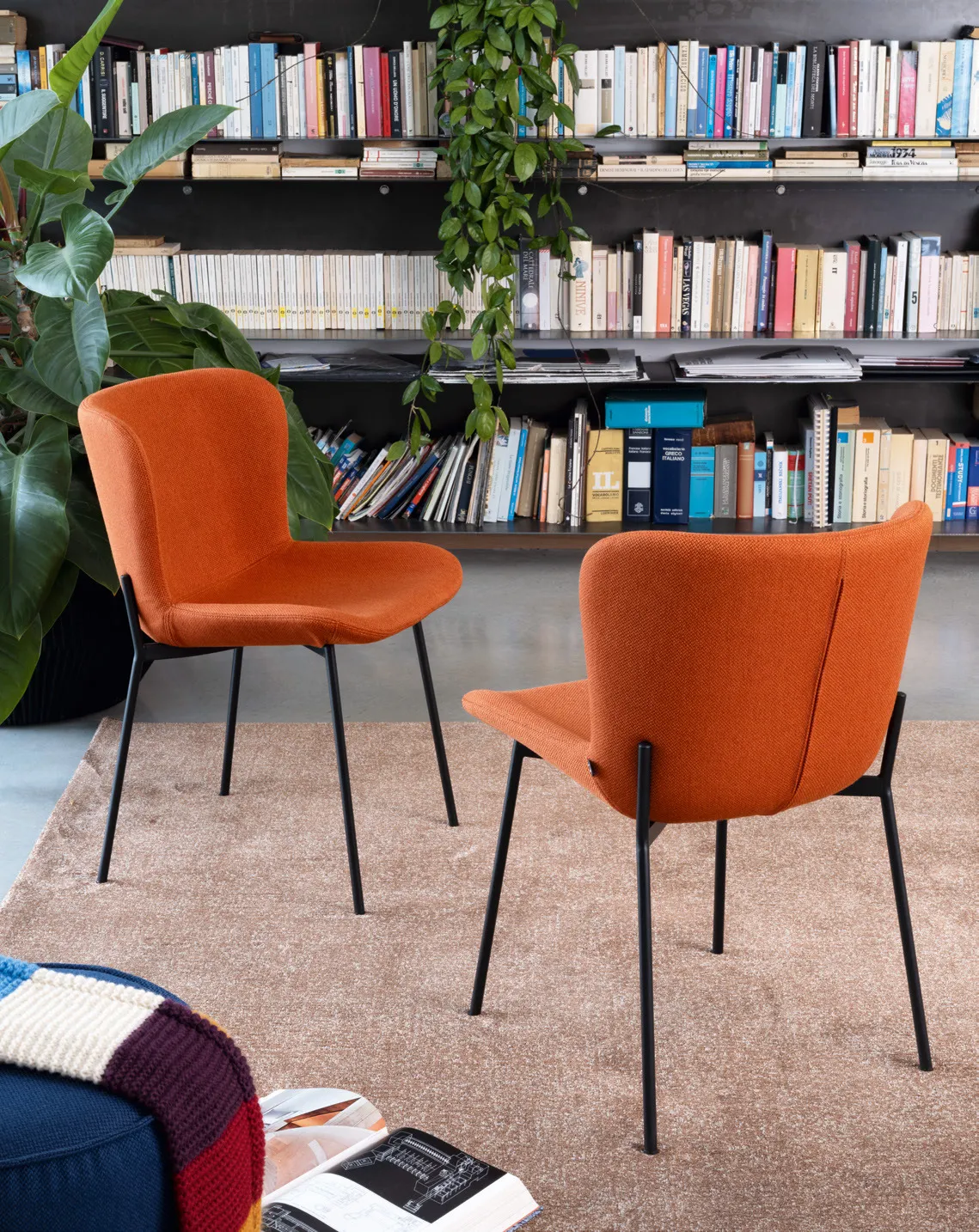 Due sedie Forma Connubia in tessuto arancio zafferano con gambe nere davanti a una libreria