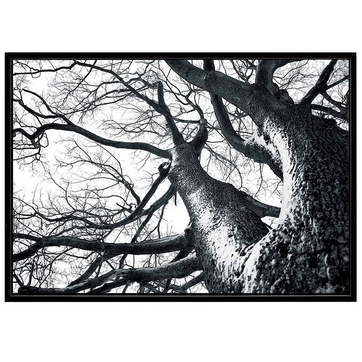 Quadro Winter Tree Tomasucci in bianco e nero