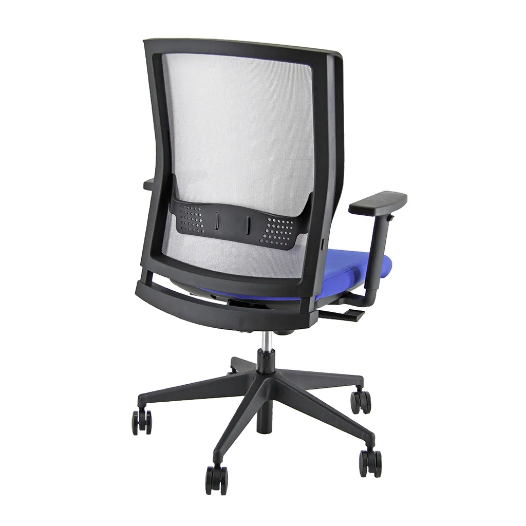 Retro della sedia X Ray Unisit