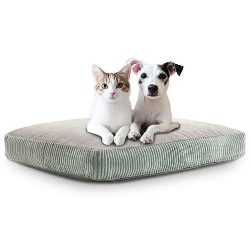 Cuscino per animali Piumoso Pet Aerre Divani verde salvia con un gatto e un cane