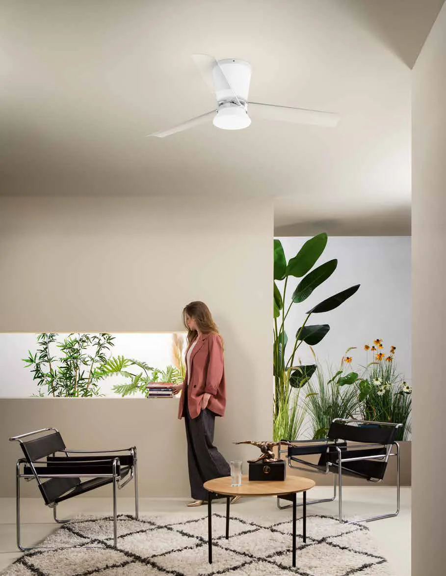 Ventilatore da soffitto Everest Fan Europe in un soggiorno con poltrone e piante