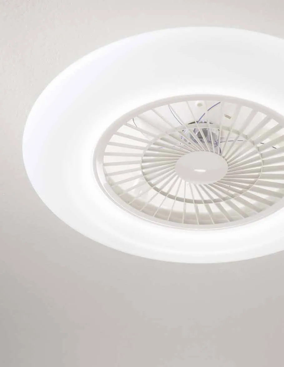 Dettaglio della plafoniera con ventilatore Magister Fan Europe