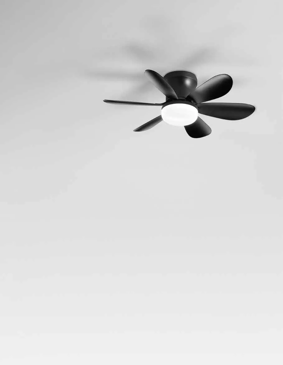 Ventilatore a sei pale Wind Fan Europe nero