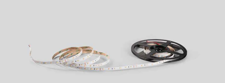 Rotolo di strip LED 24V 2835 60 Fan Europe su fondo grigio