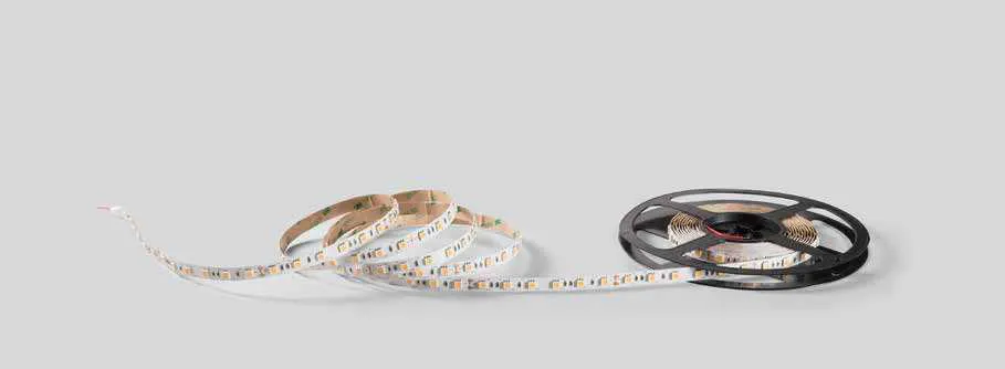 Strip LED 24V 5050 60 Fan Europe a luce bianca su fondo grigio