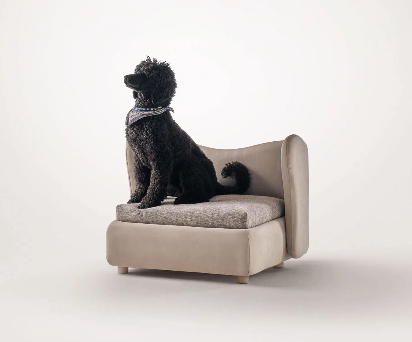 Cane sulla cuccia Bauhause Rosini