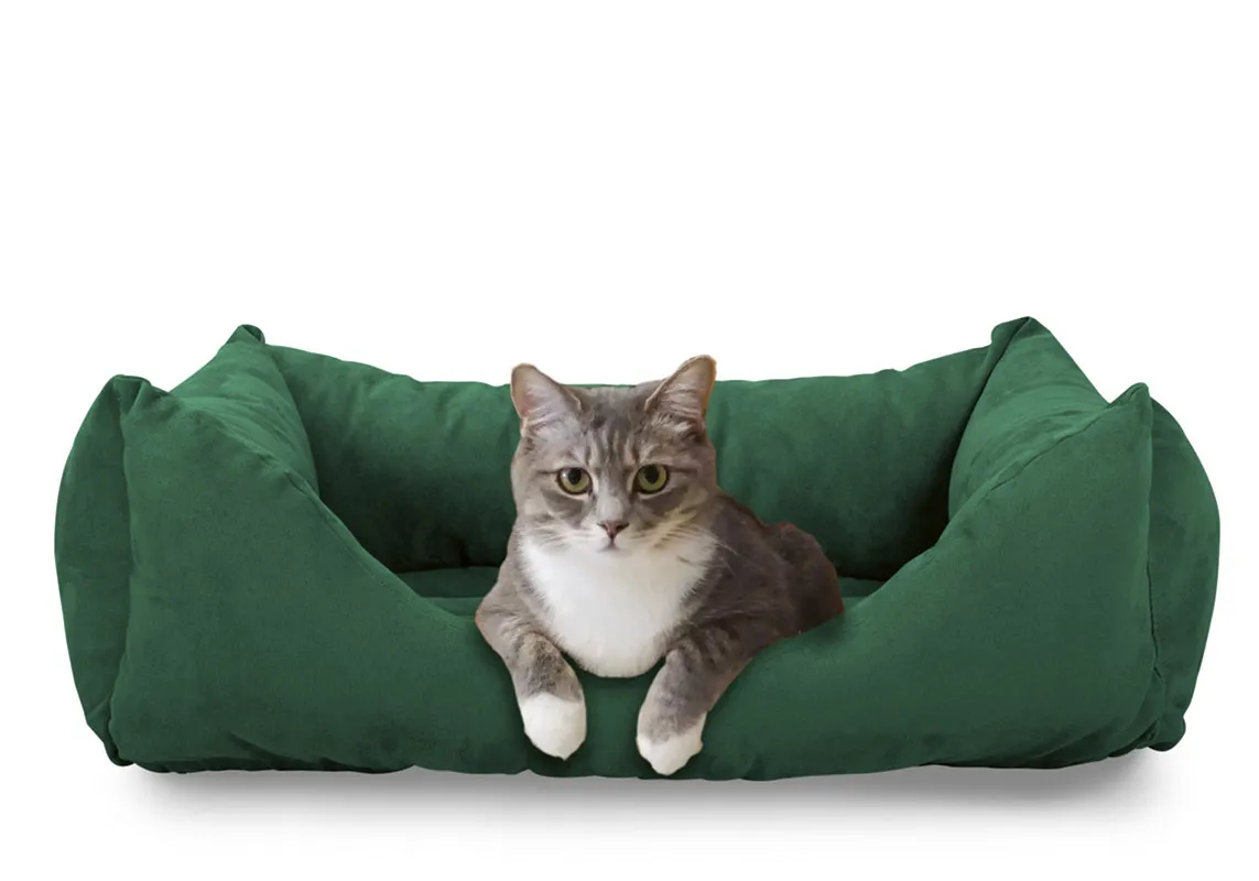 Cuccia Comfort 6.0 San Lorenzo verde con un gatto