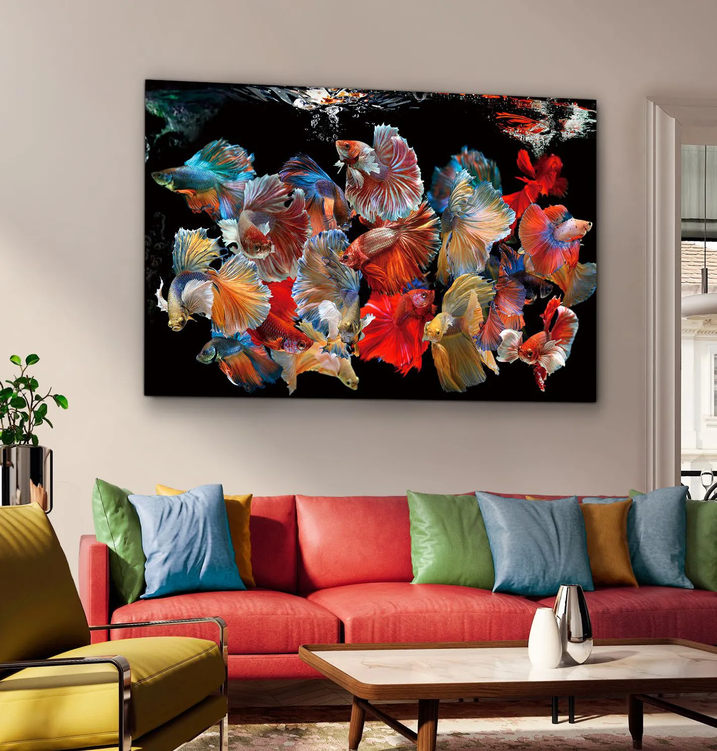 Quadro fotografico Peces Siam Schuller sopra un divano rosso
