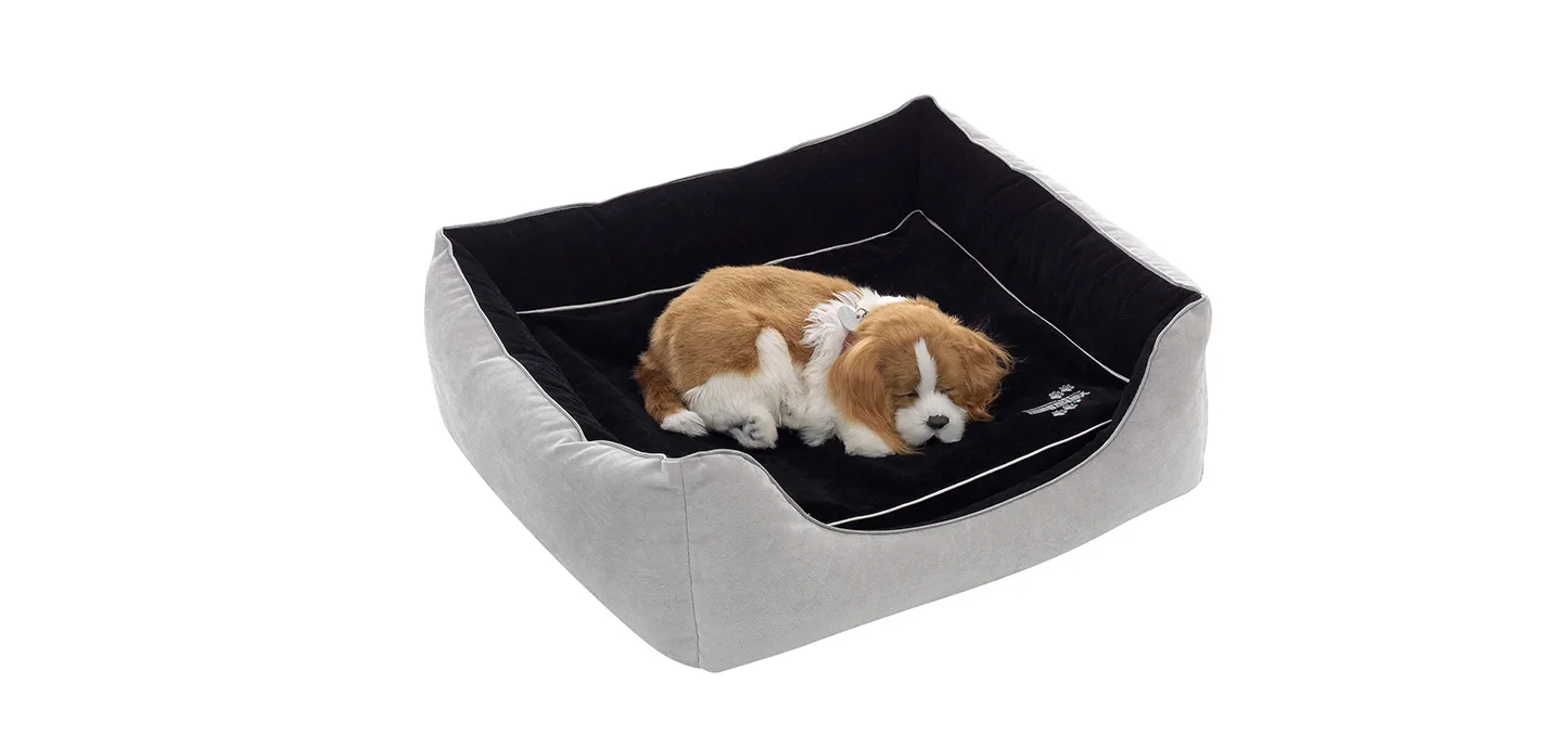 Cuccia Magnipet Bed Magniflex grigia e nera con un cucciolo che dorme