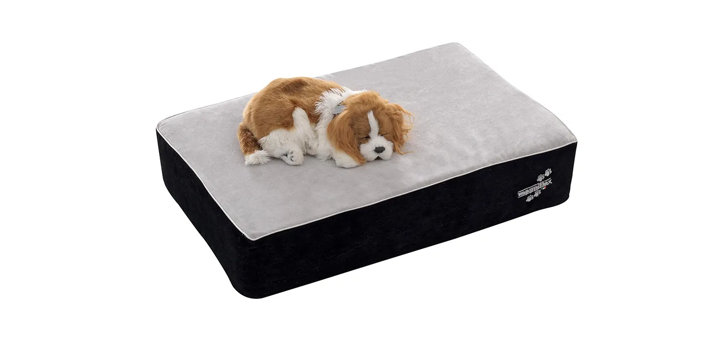 Materassino Magnipet Mattress Magniflex con un cucciolo addormentato sopra